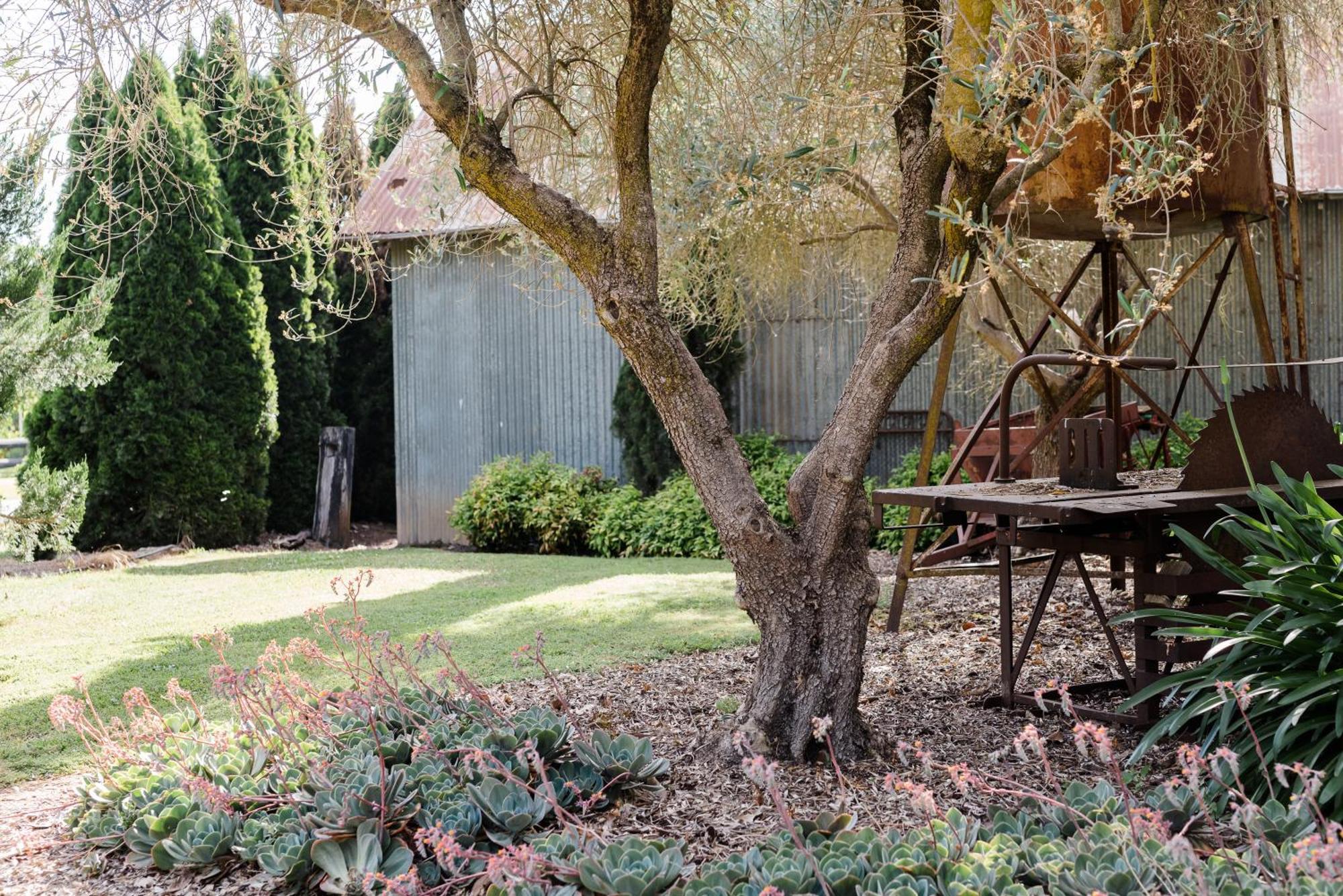 Walnut Tree Cottages Whorouly Eksteriør bilde